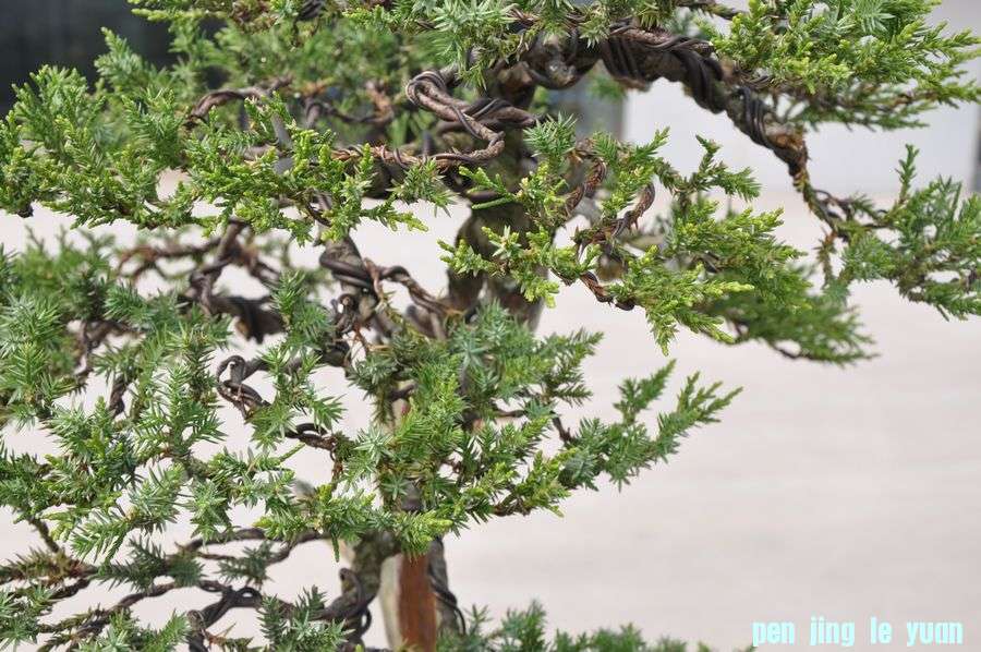 �ҵ��辰 188.jpg