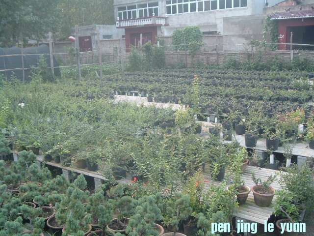 DSCF0945.JPG