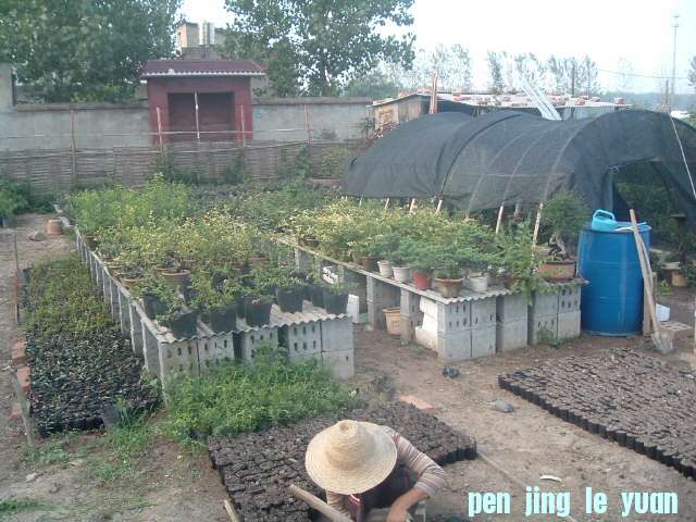 DSCF0946.JPG