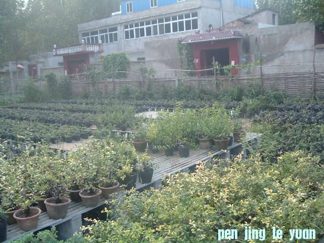 DSCF0949.JPG