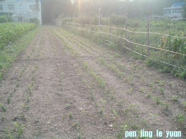 DSCF0965.JPG