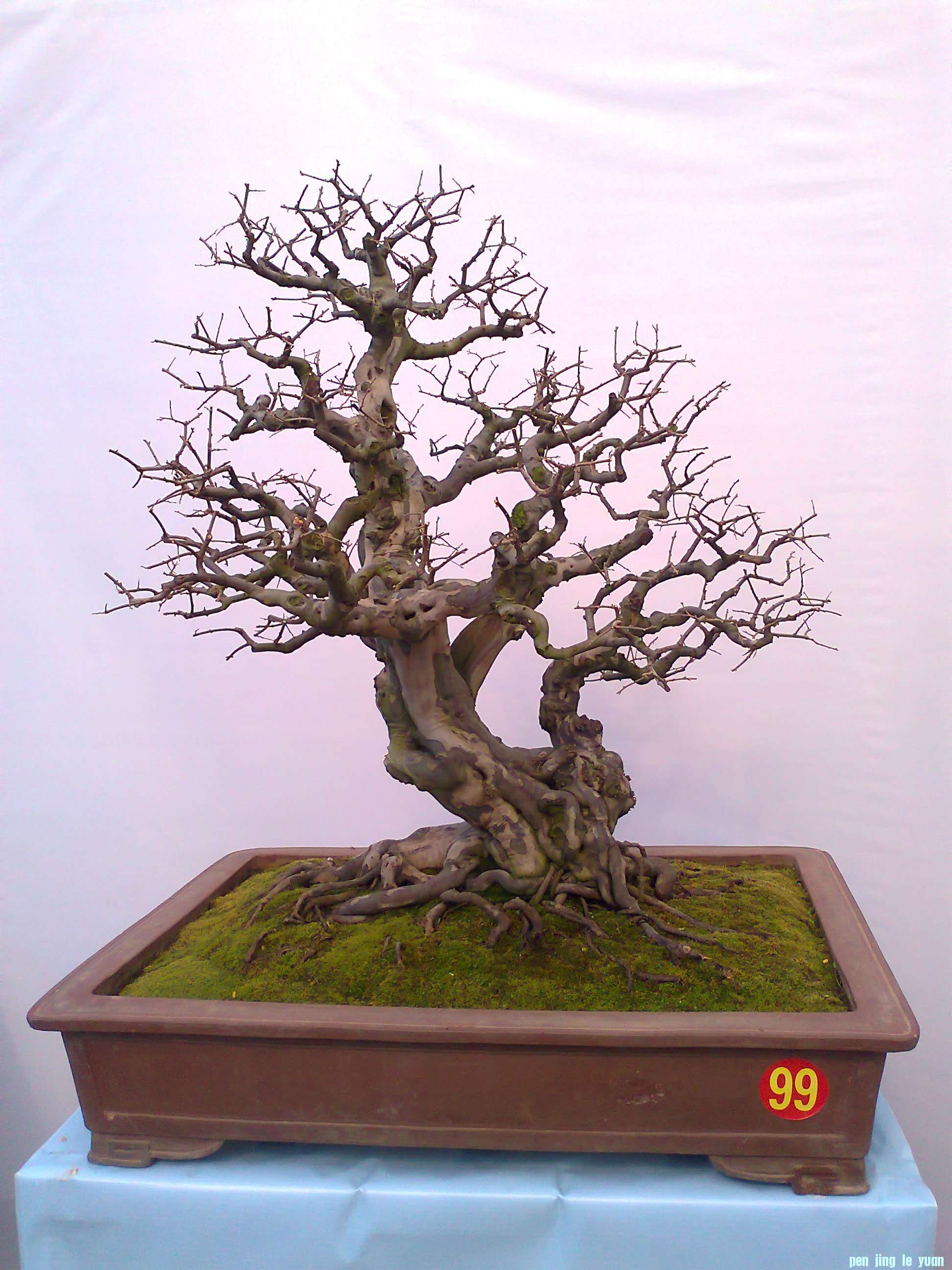Ƭ0030.jpg