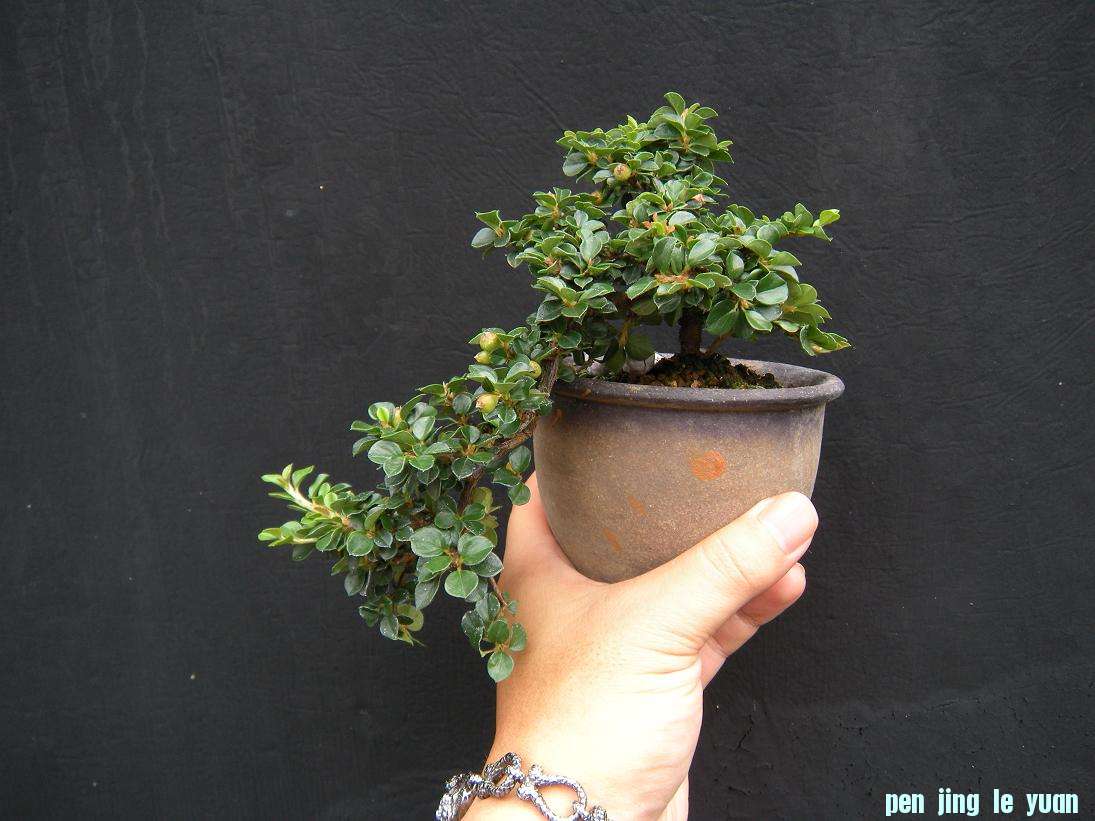 DSCN1076.JPG