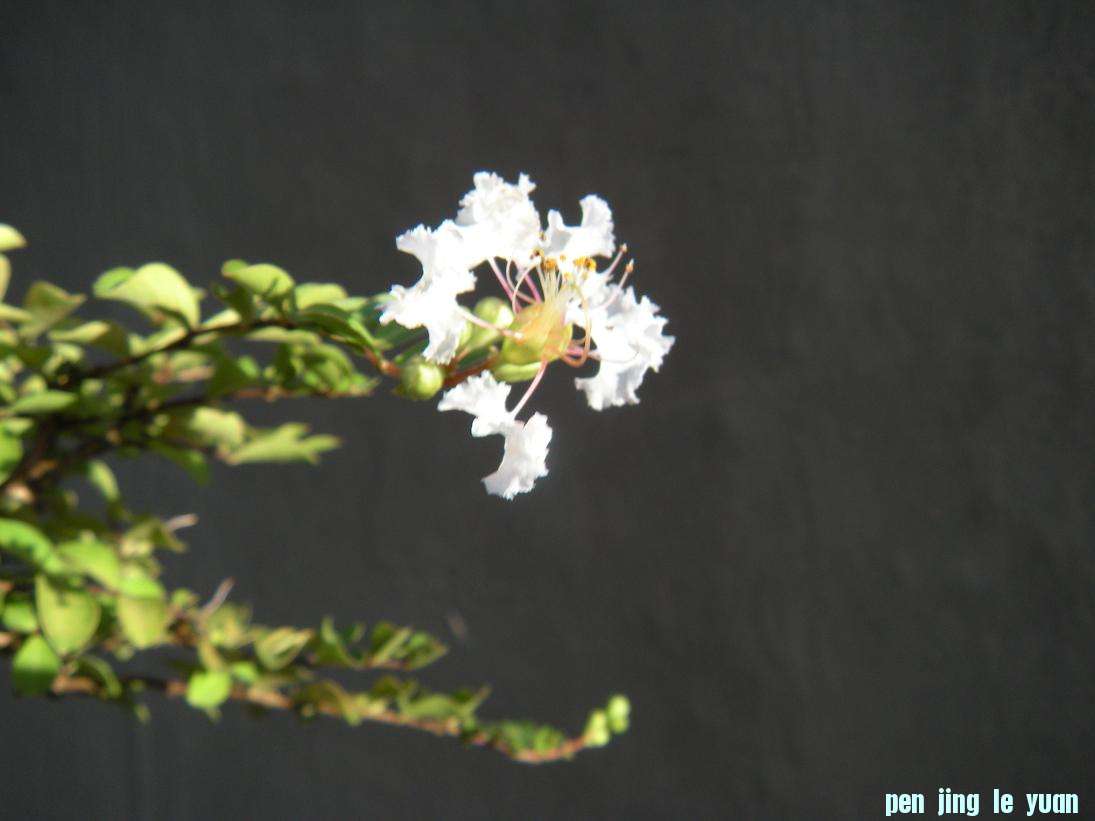 DSCN1160.JPG
