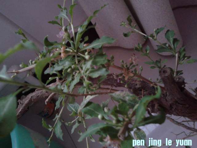 2012-07-22 19.13.11.jpg