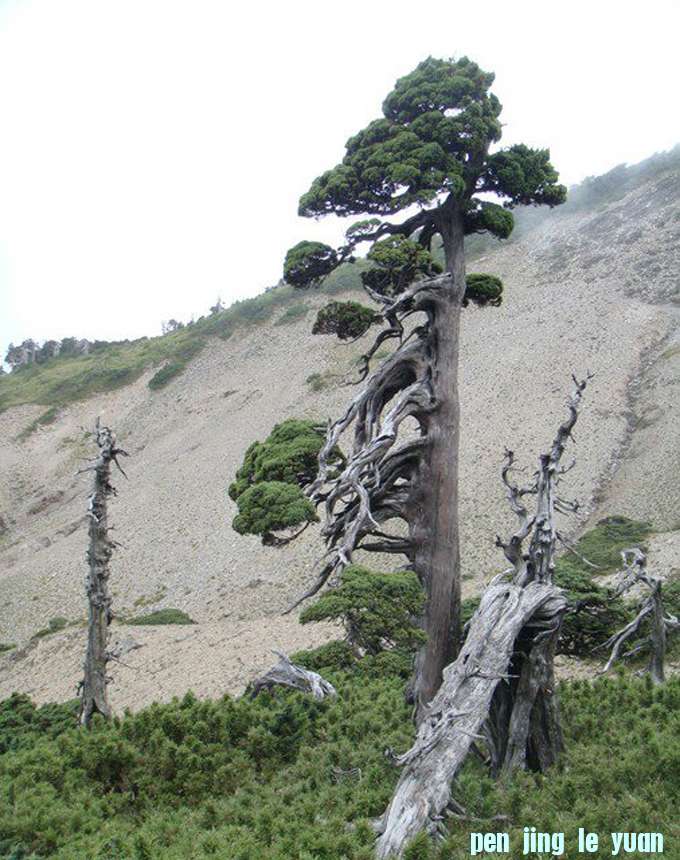 eltim6.jpg