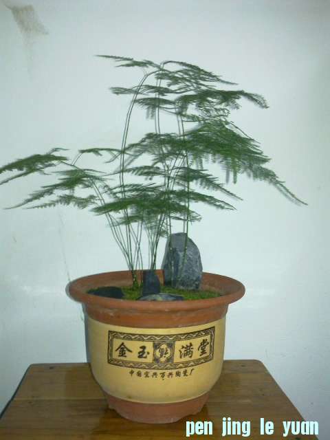 Ƭ 004.jpg