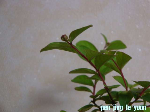DSC09724.JPG