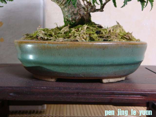 DSC09733.JPG