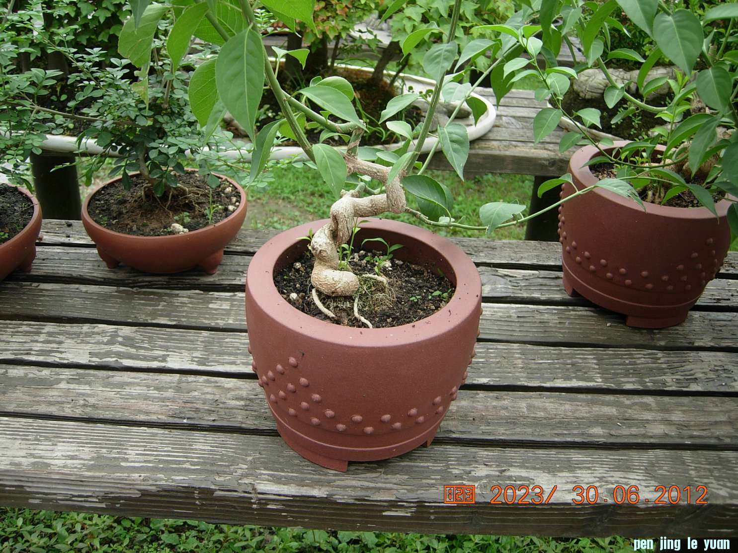 DSCN6226.JPG