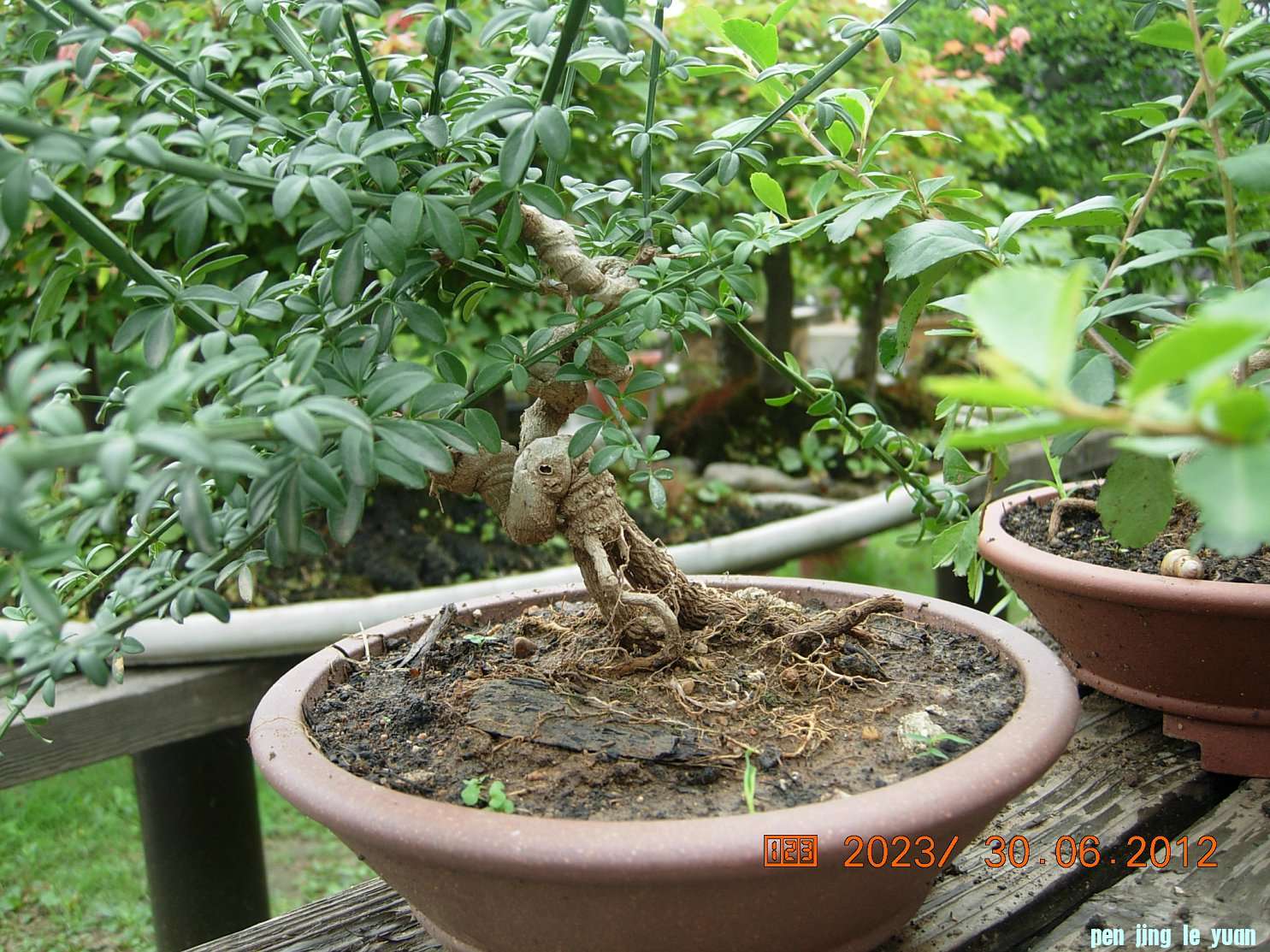 DSCN6228.JPG