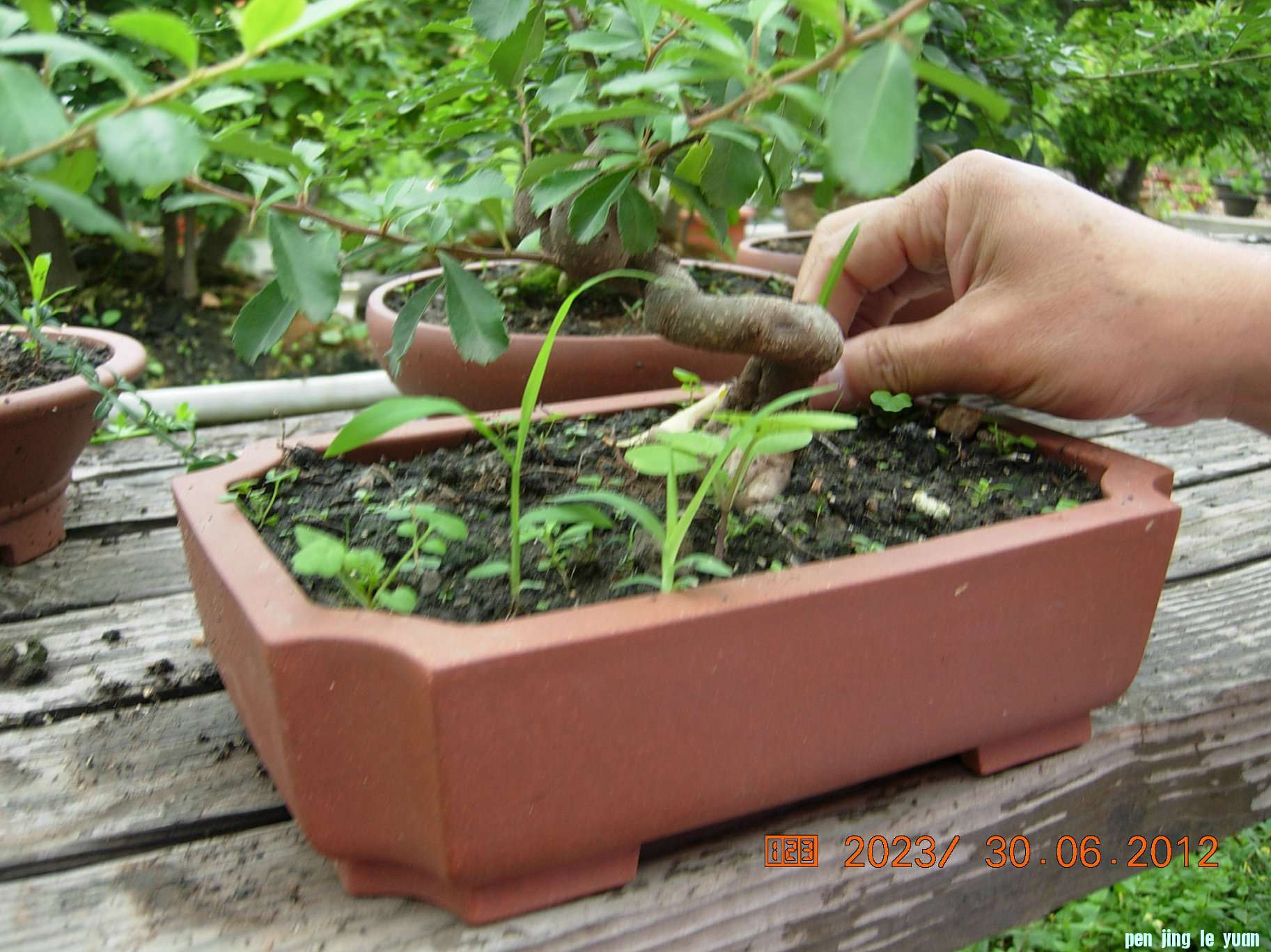 DSCN6229.JPG