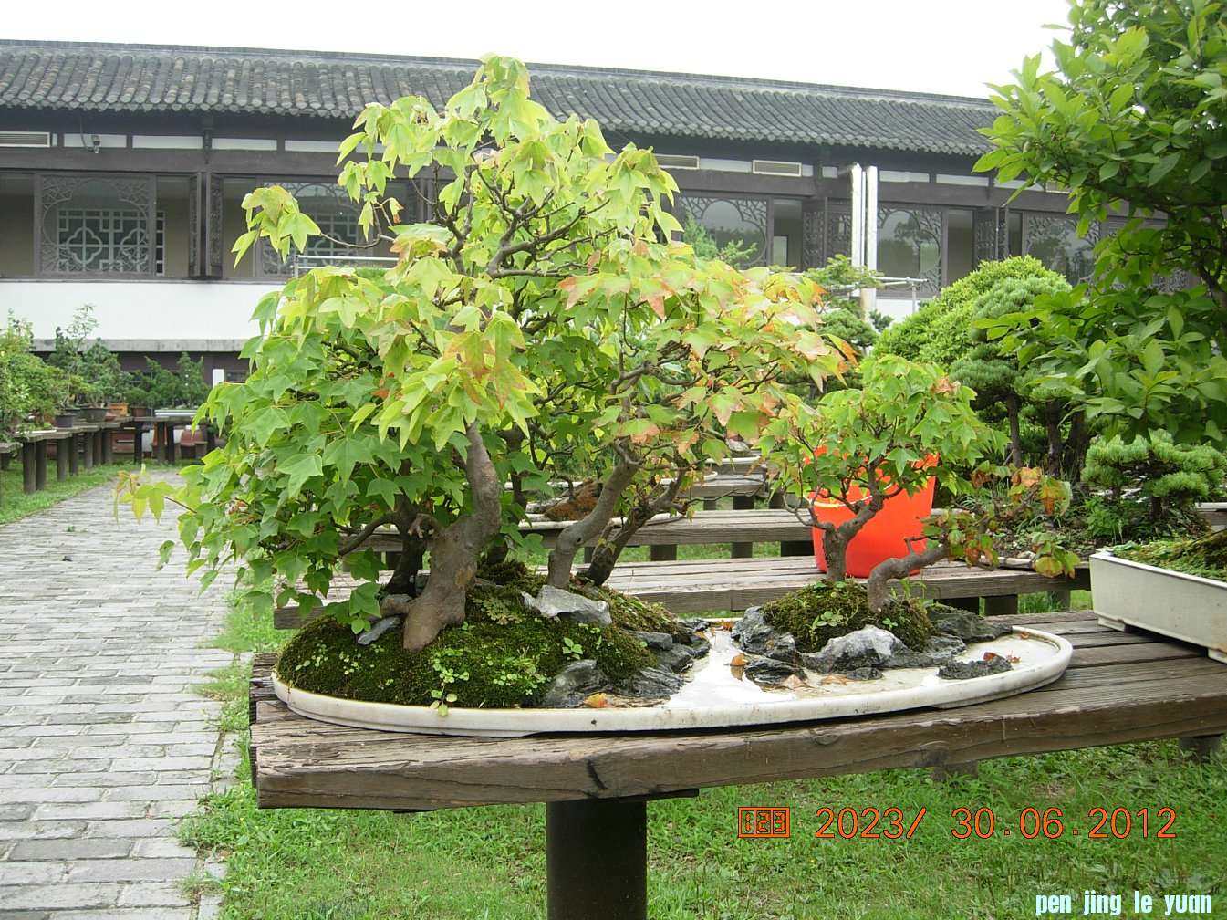 DSCN6233.JPG
