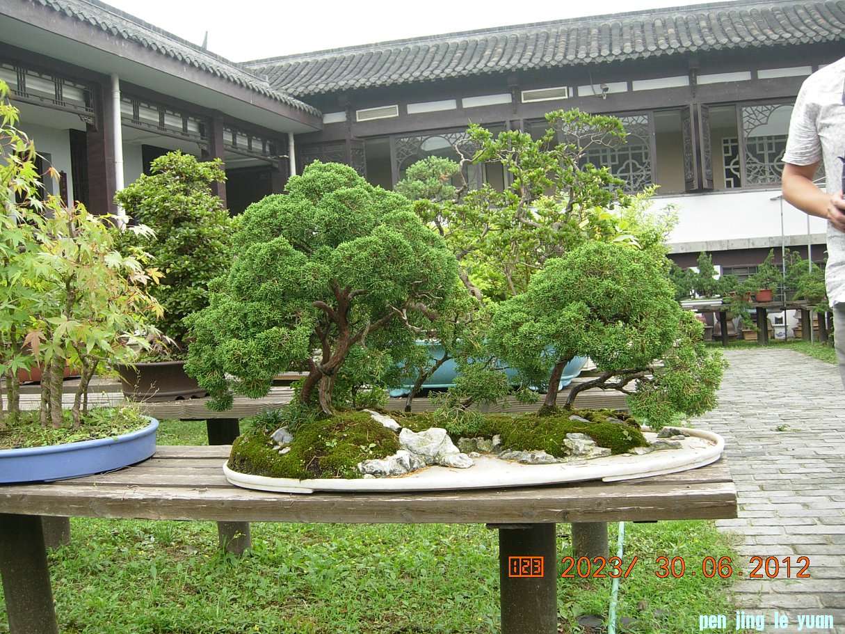 DSCN6236.JPG