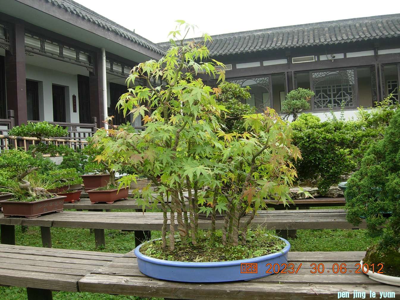 DSCN6237.JPG