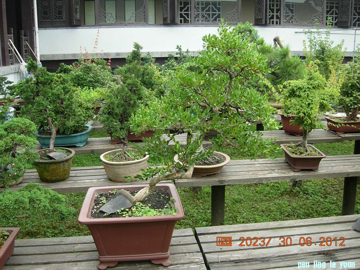 DSCN6238.JPG
