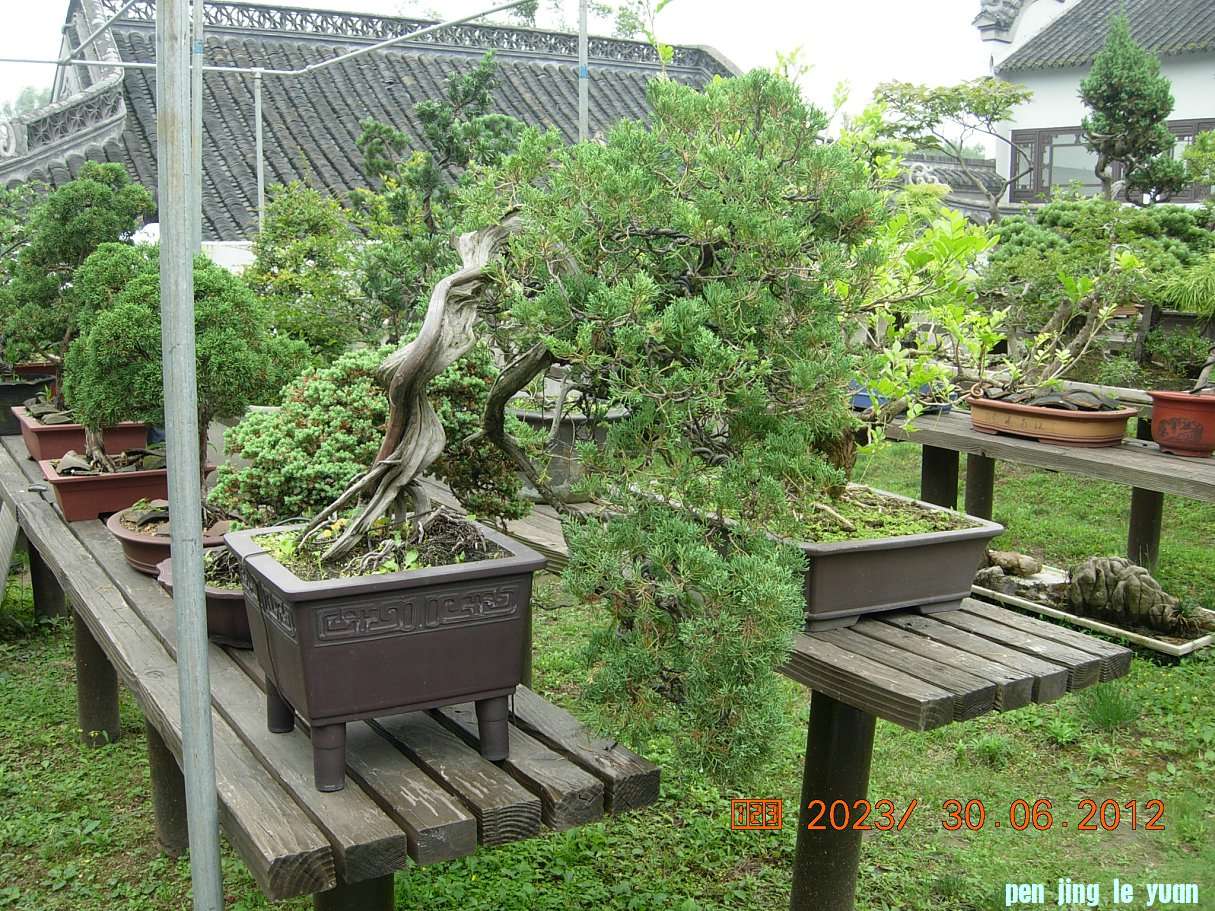 DSCN6240.JPG