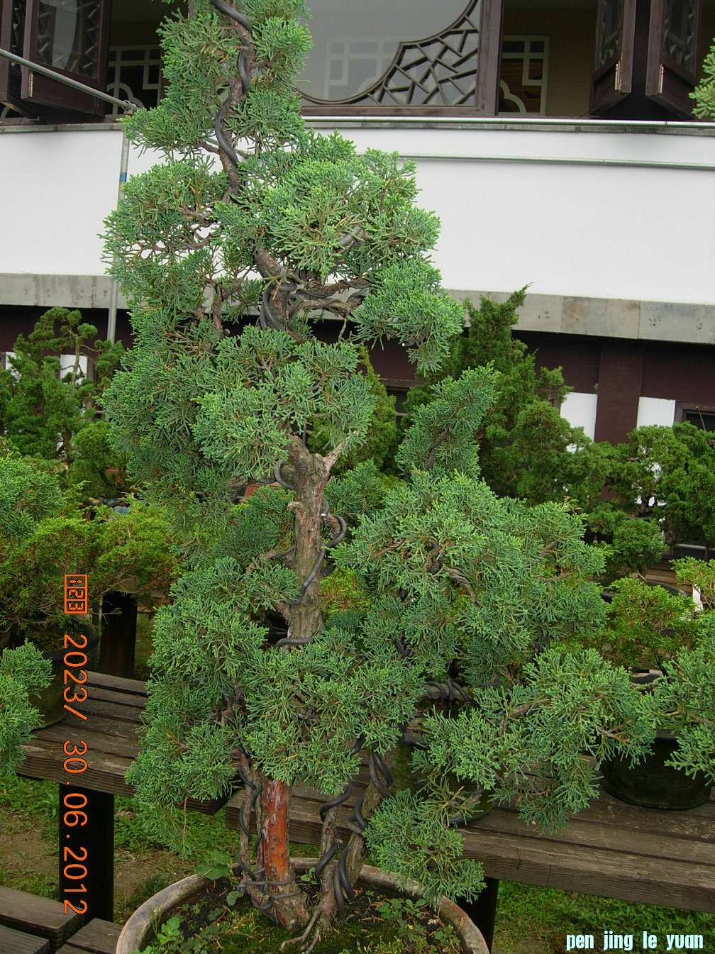 DSCN6242.JPG