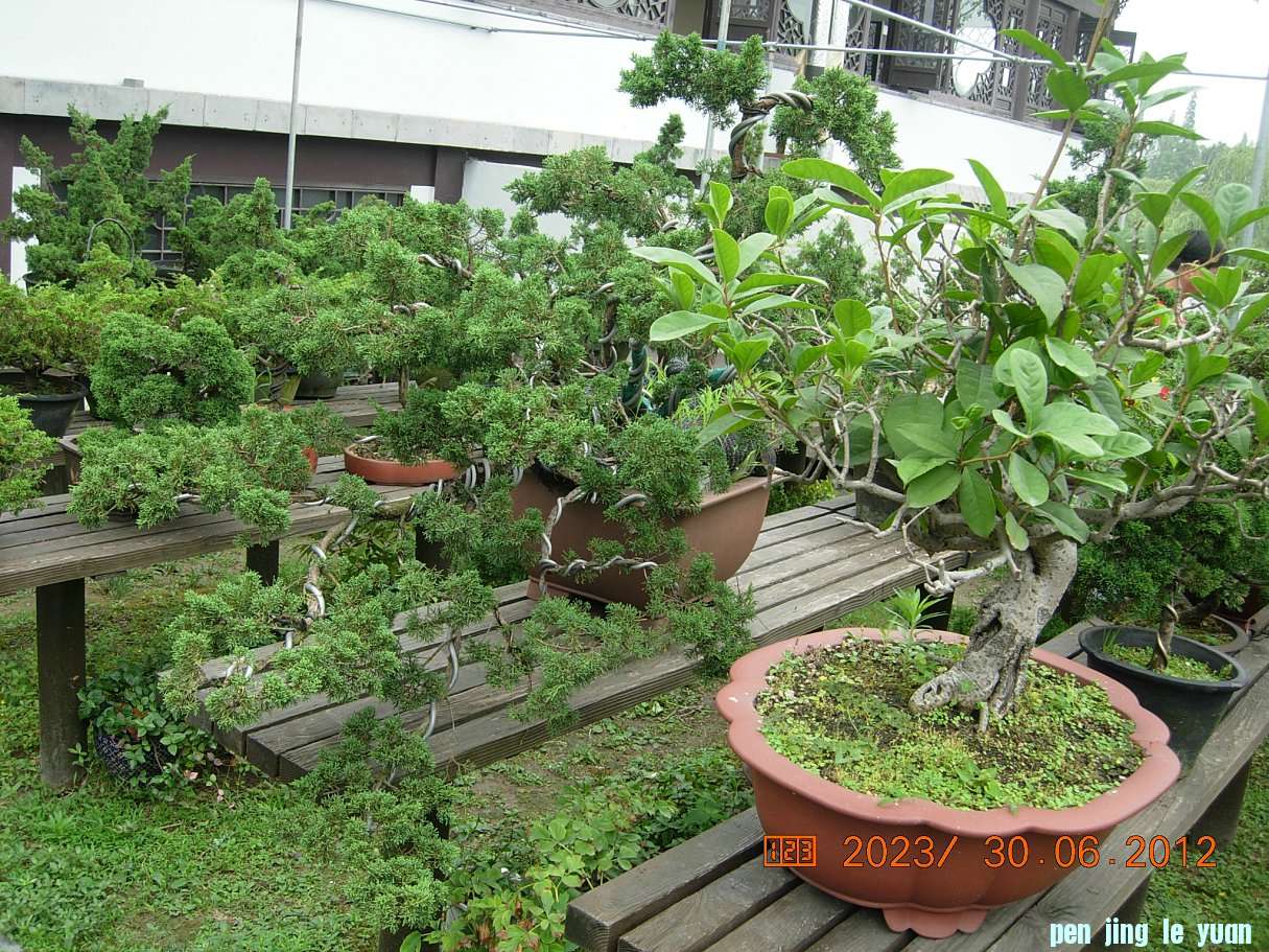 DSCN6243.JPG