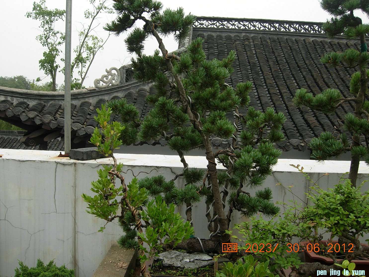 DSCN6245.JPG