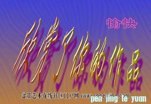 20090223_8d902301396f2e3b9ea7DKaOGPOO2Vkg.jpg