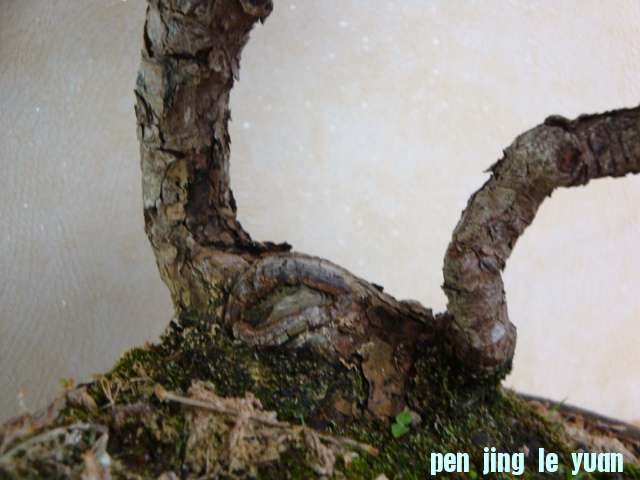 DSC09758.JPG