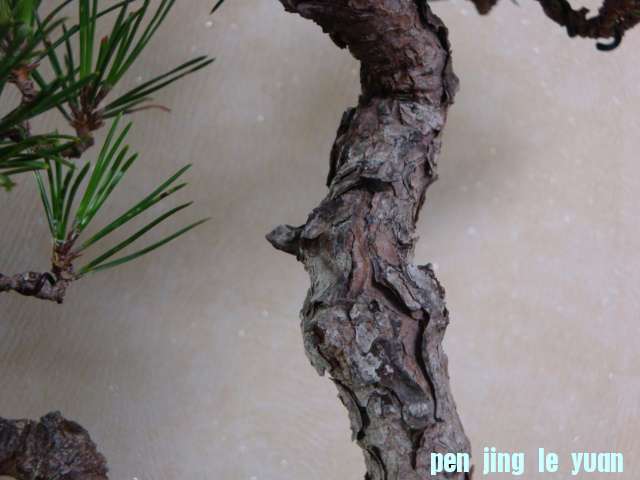 DSC09760.JPG