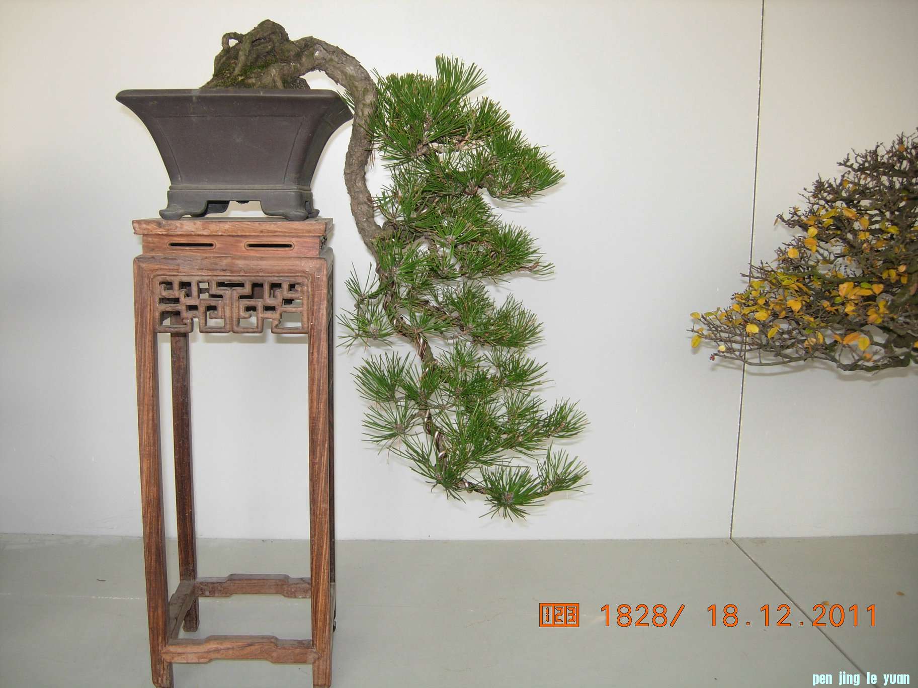 DSCN4863.JPG