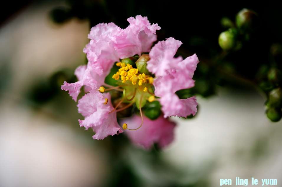 ޱ4.jpg