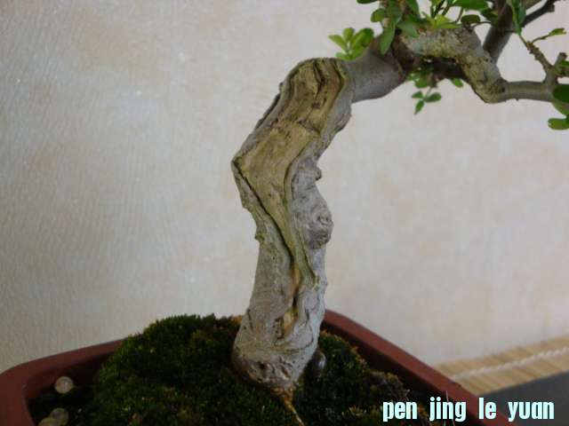 DSC09795.JPG