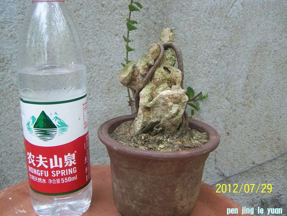 100_4643.jpg