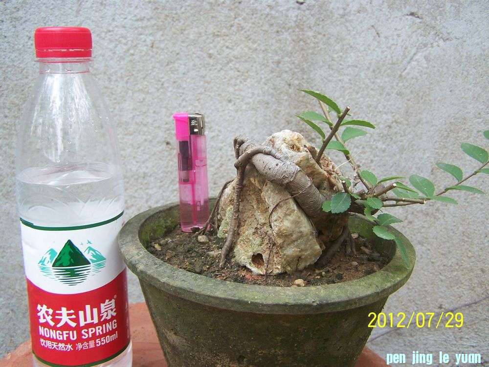 100_4646.jpg