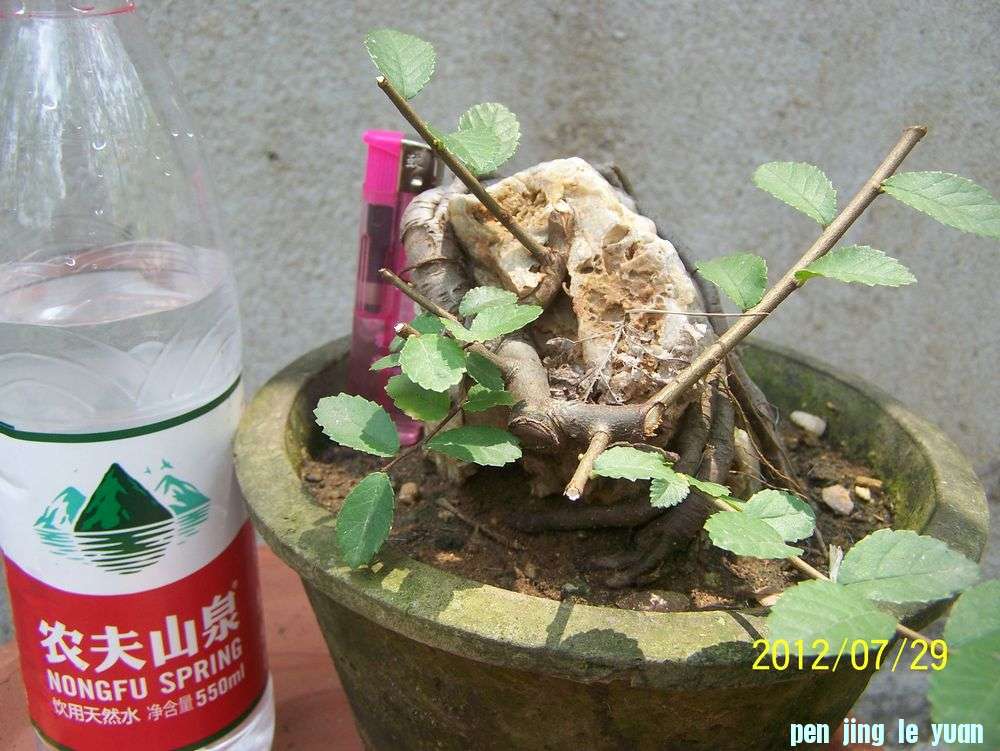 100_4647.jpg