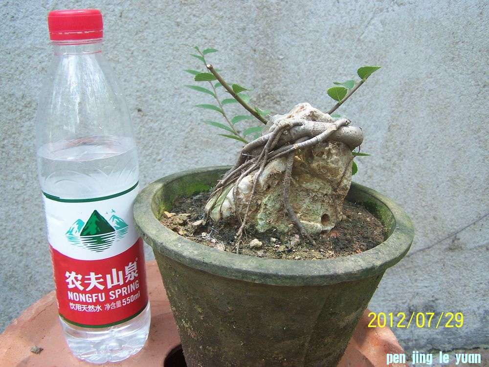 100_4648.jpg