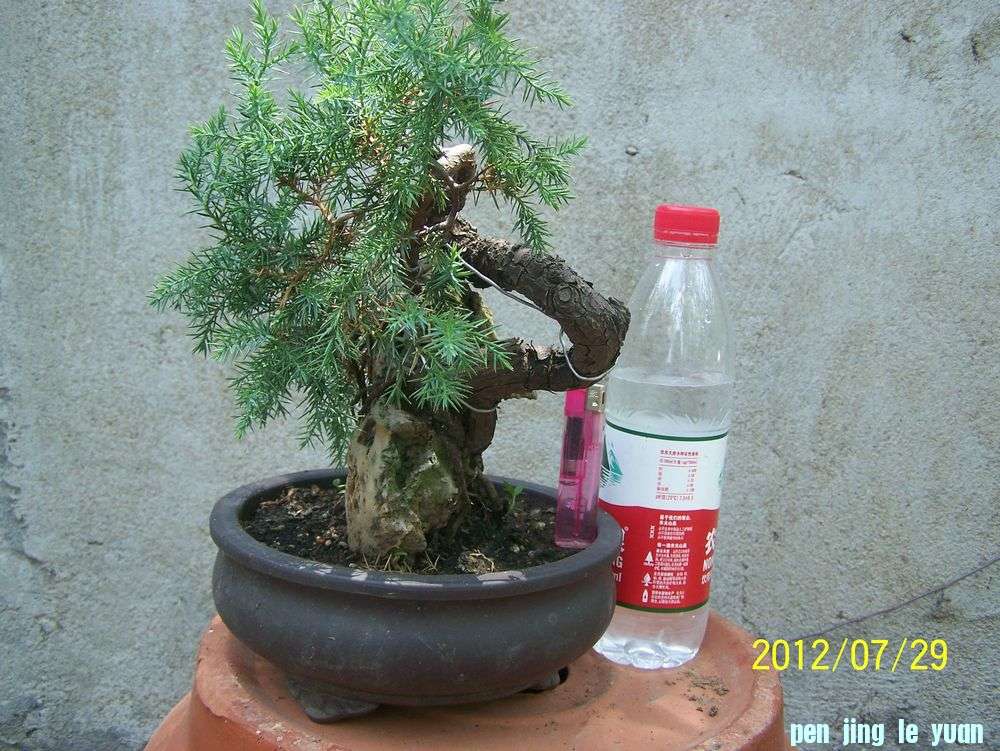 100_4653.jpg