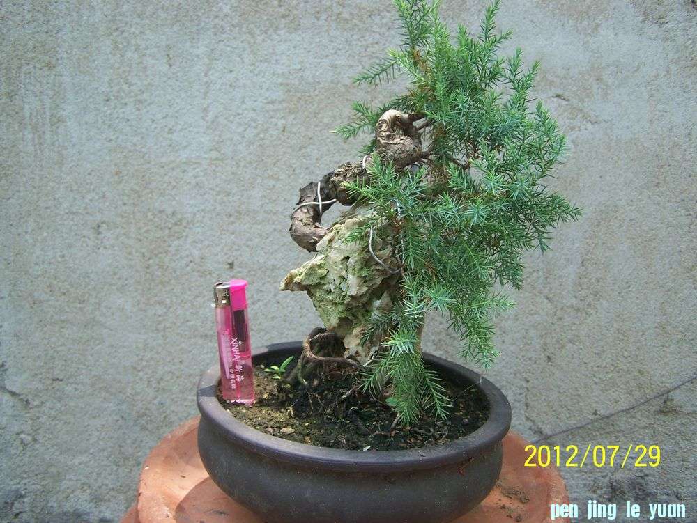 100_4654.jpg