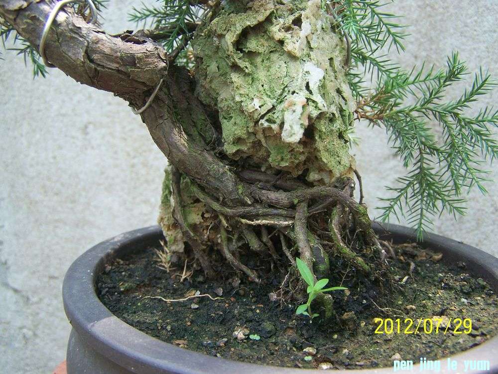 100_4655.jpg