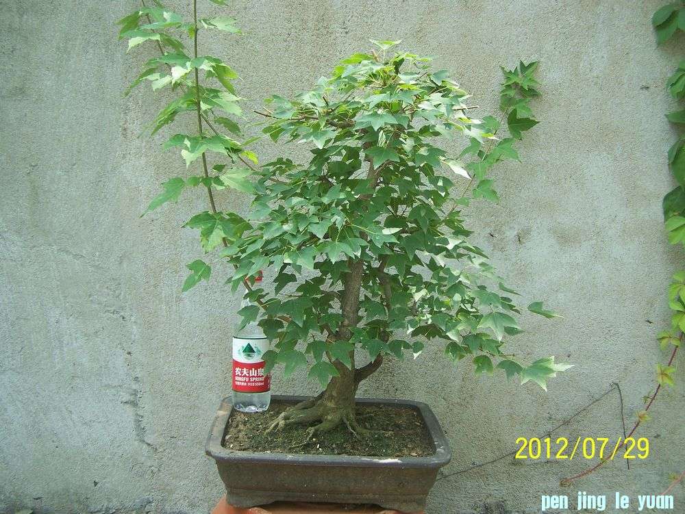 100_4662.jpg