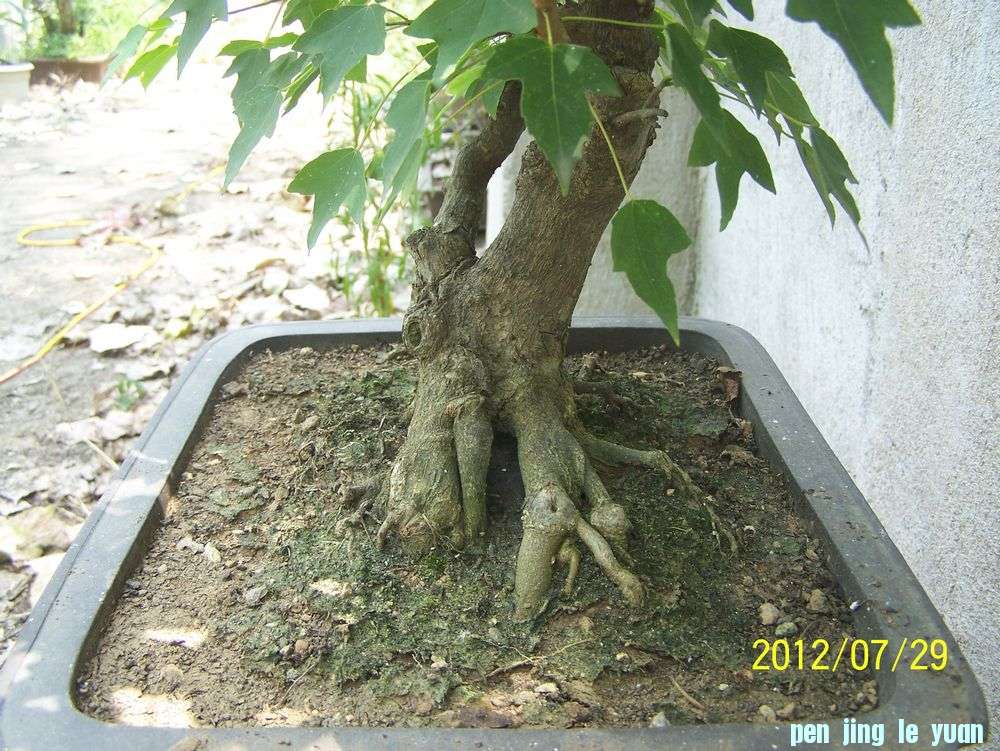 100_4664.jpg