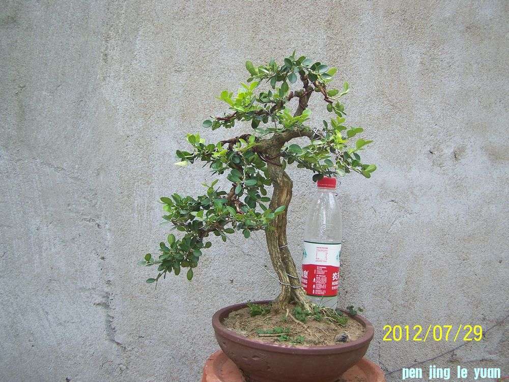 100_4665.jpg