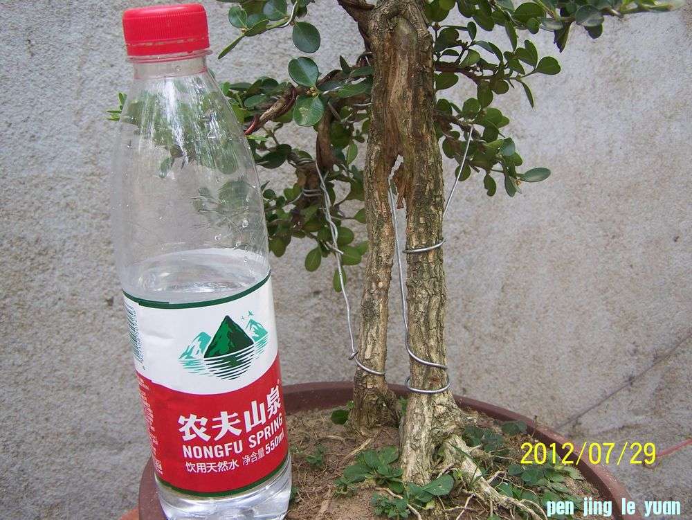 100_4669.jpg