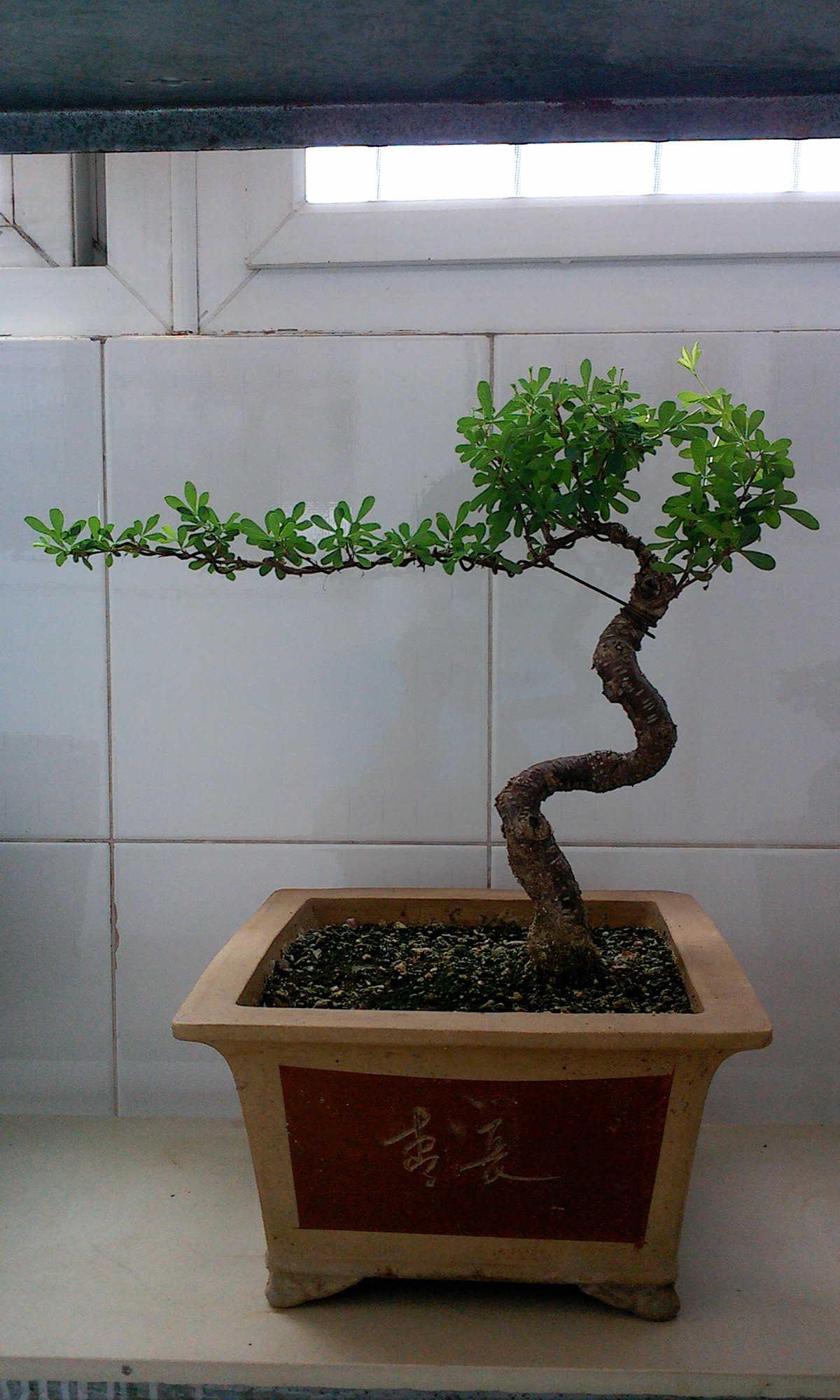 IMG0730101900.jpg