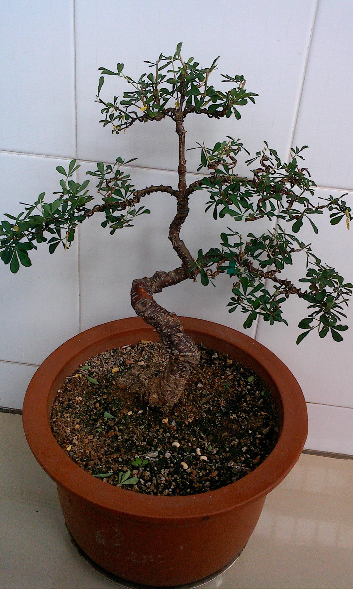 IMG0730102100.jpg