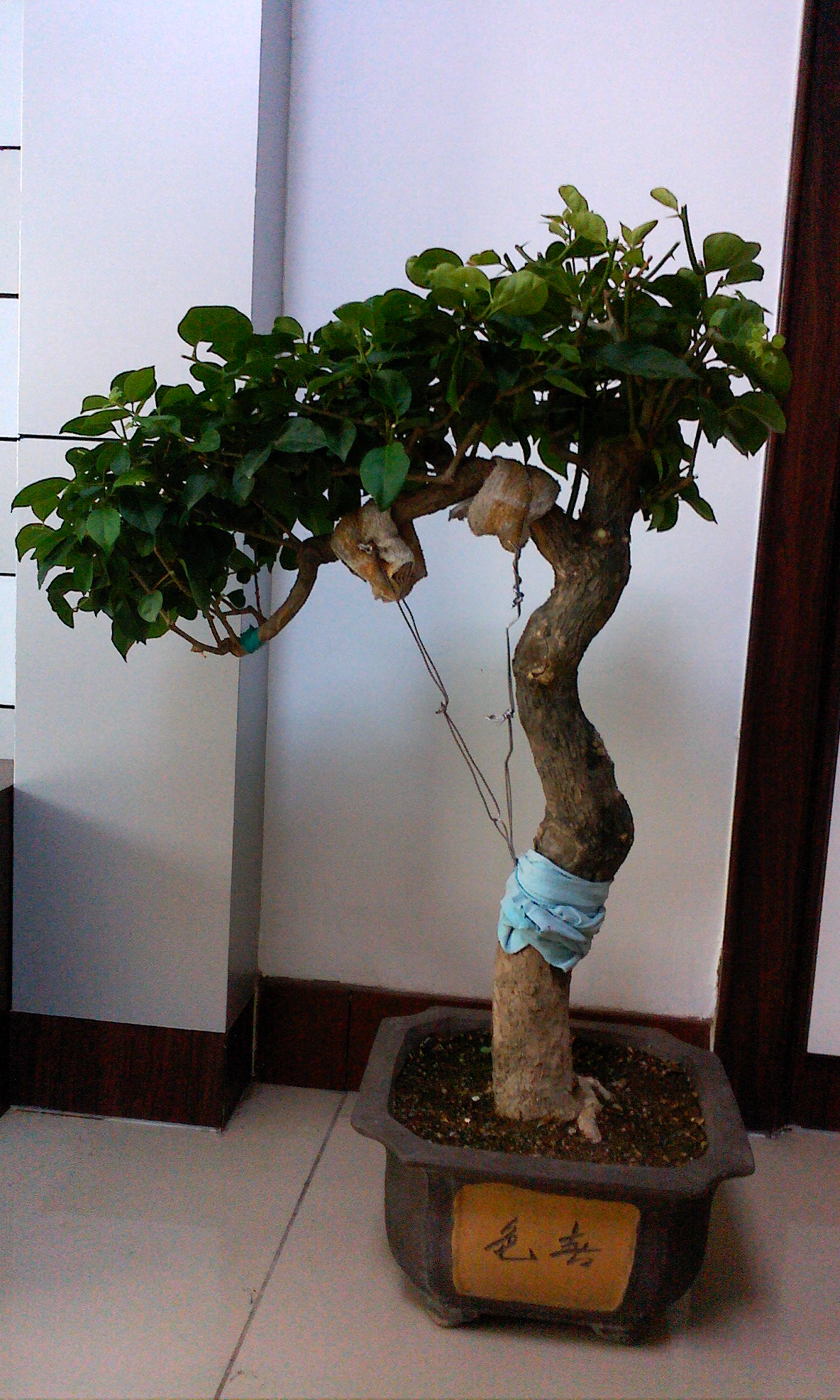 IMG0730140600.jpg