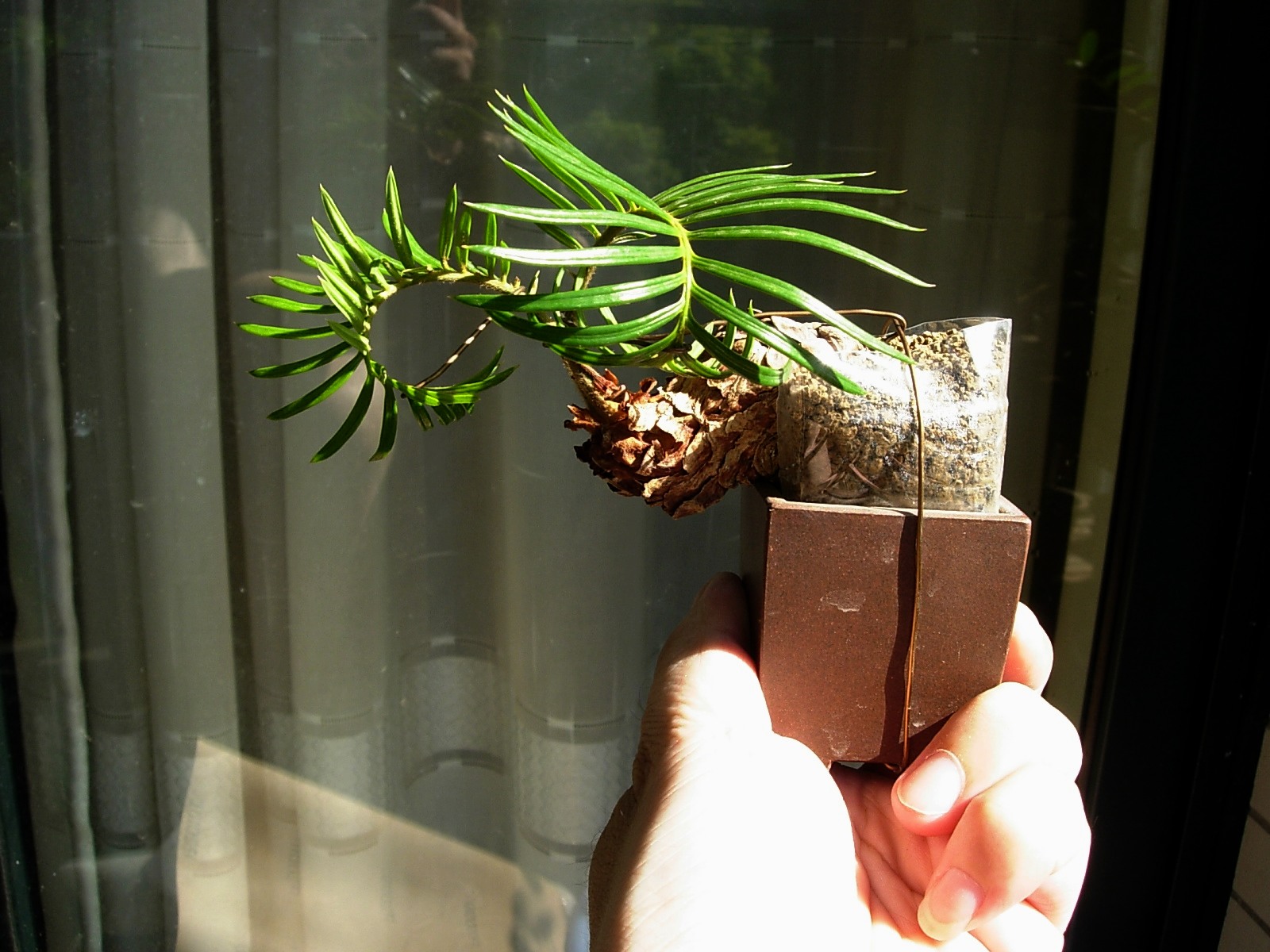 DSCN7972.JPG