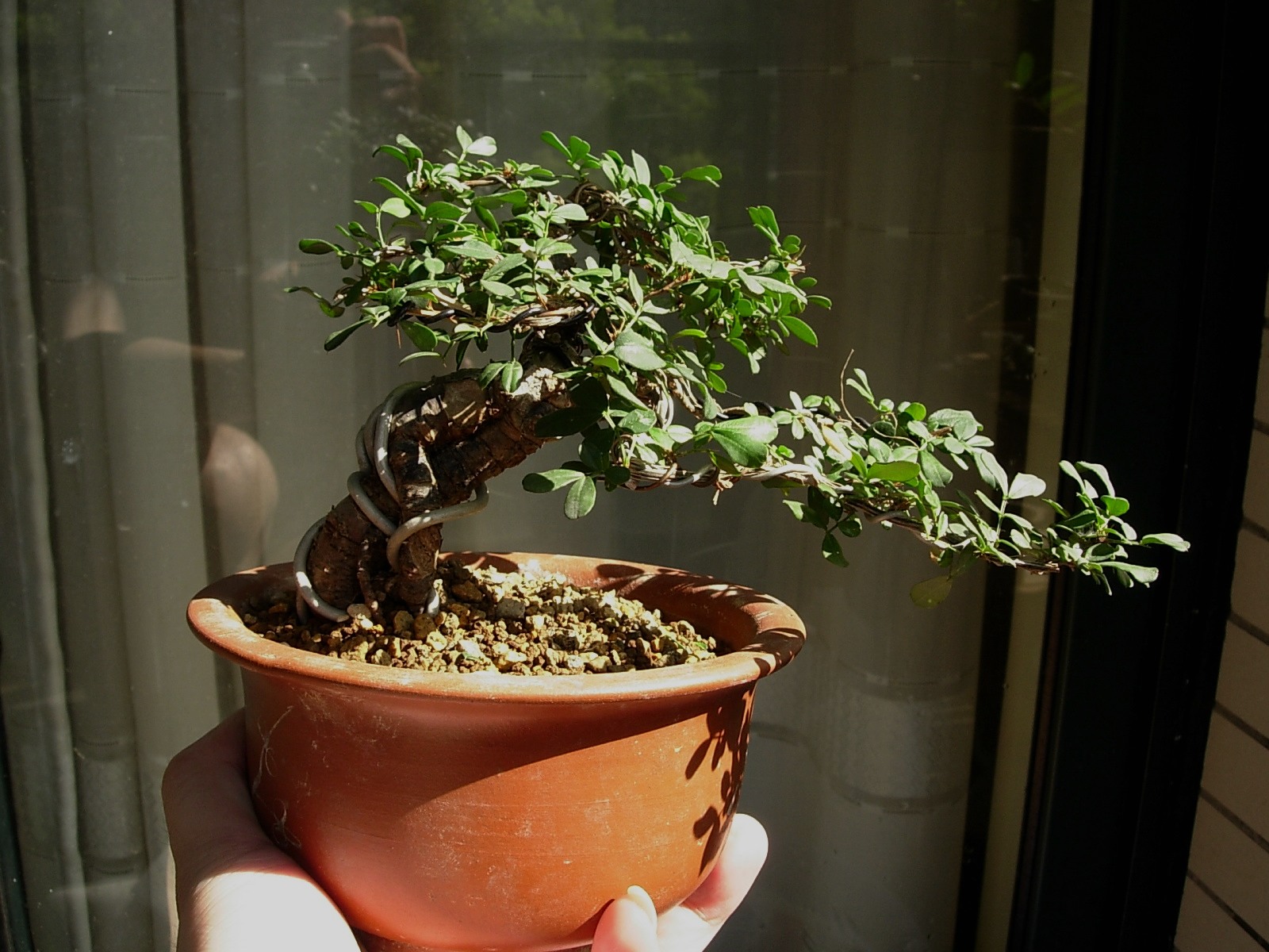 DSCN7968.JPG
