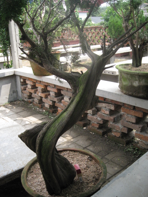 IMG_5362.JPG