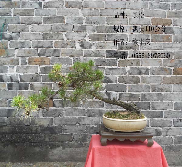 DSCN2668.jpg