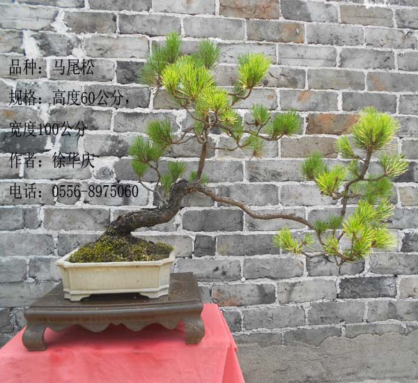 DSCN2672.jpg