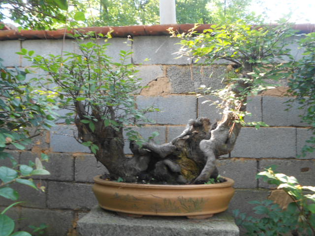 DSCN3040.JPG